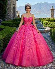 Ball Gown Sweetheart Pink Lace Appliques Tulle Long Quinceanera Dresses